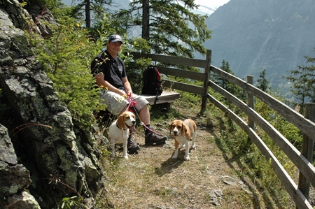 Bild von Wanderpauschale