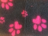 Bild von VETbed Pfoten pink