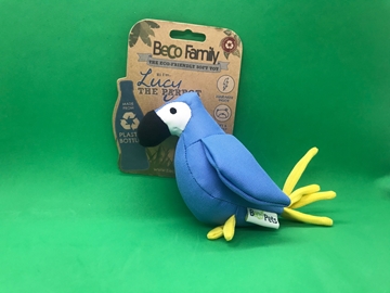 Bild von Papagei Lucy