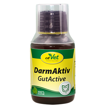 Bild von DarmAktiv Hund & Katze 100ml