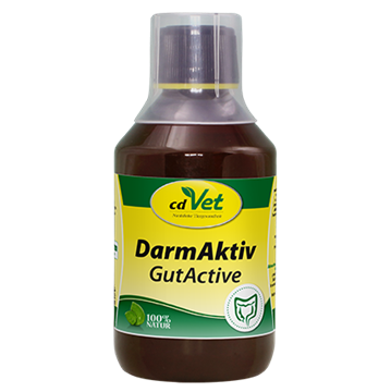 Bild von DarmAktiv Hund & Katze 250ml