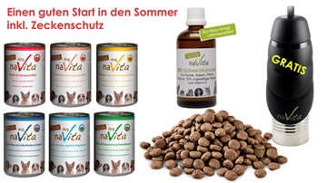Bild von Sommerferien - Spezialangebot