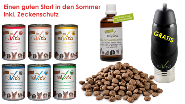 Bild von Sommerferien - Spezialangebot